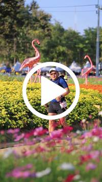 BIB:  <button type="button" onclick="openModal(27588602)" class="btn btn-primary btn-sm float-right" data-toggle="modal" data-target=".modal-high-quality">
                <i class="fa fa-download"></i> Download
                </button>